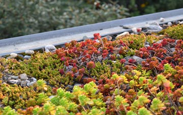 the cost of West Monkseaton green roof installation