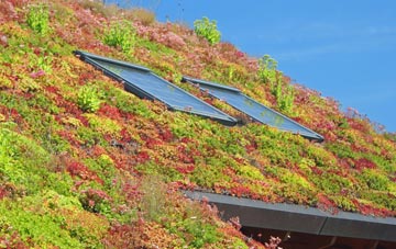 West Monkseaton living roof systems