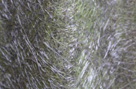 West Monkseaton fibreglass roof work